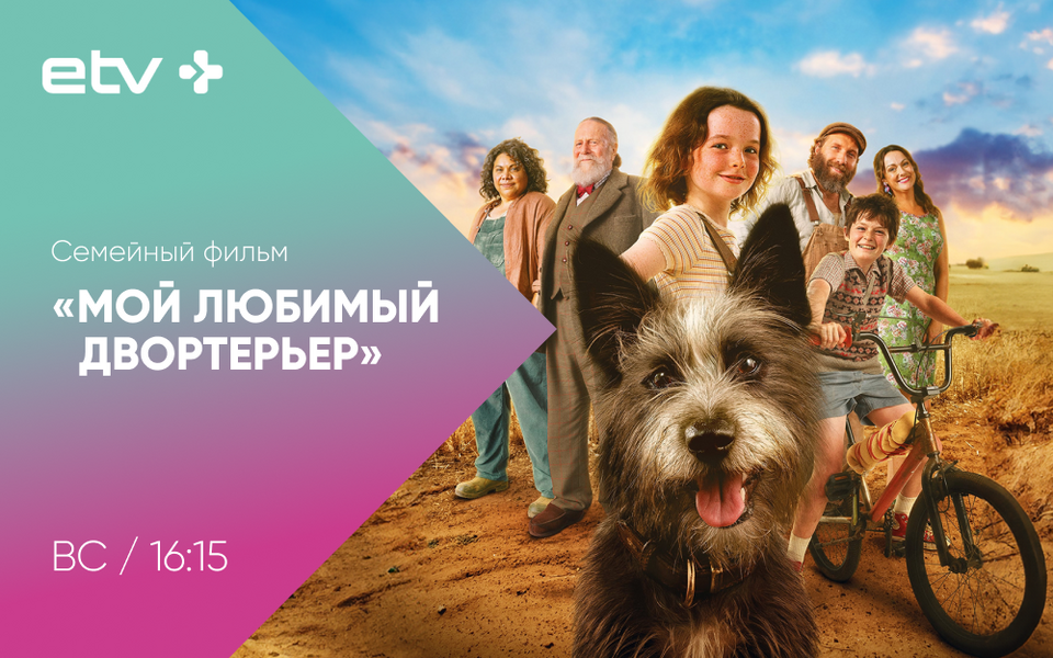 баннеры