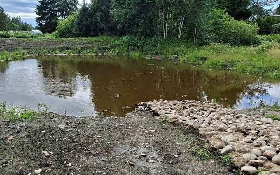 Украденные булыжники принадлежали городу Нарве и были частью общей системы безопасности.