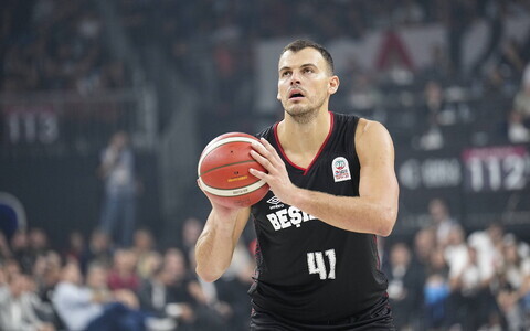 Ante Žižic (Besiktas)