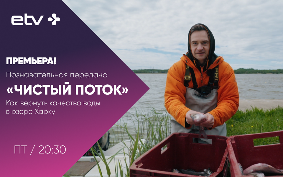 Баннеры.