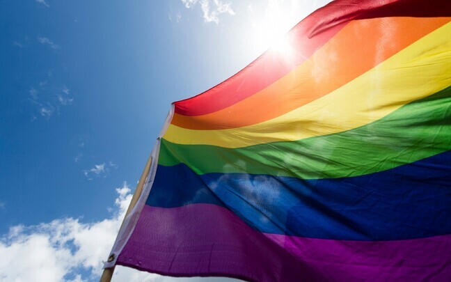 Vikerkaarelipp on lesbide, geide, biseksuaalsete ja transsooliste inimeste (LGBT) liikumise s&uuml;mbol.