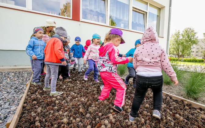 Teachers shocked by closed-mindedness of new kindergarten curriculum