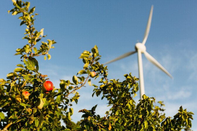 Economy ministry wants special plan from Hiiumaa offshore wind developer - Vimarsana News