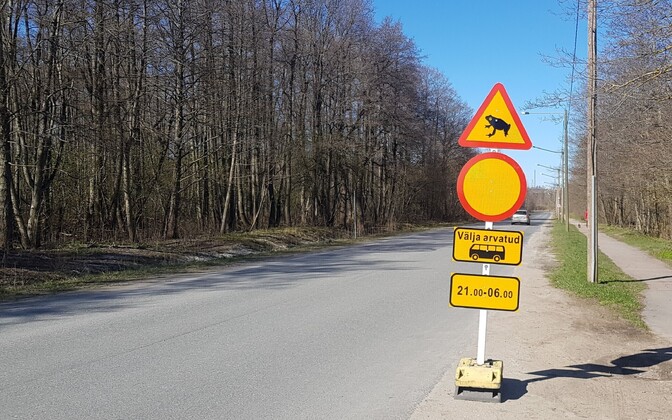 Tallinn to restrict traffic on Haabersti road for annual toad crossing - Vimarsana News