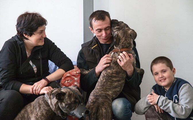 Friends of Mariupol: We should work together to help refugees in Estonia - Vimarsana News