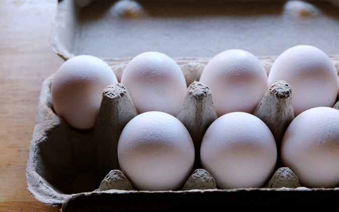 Egg prices may rise further still on spring's increase - Vimarsana News