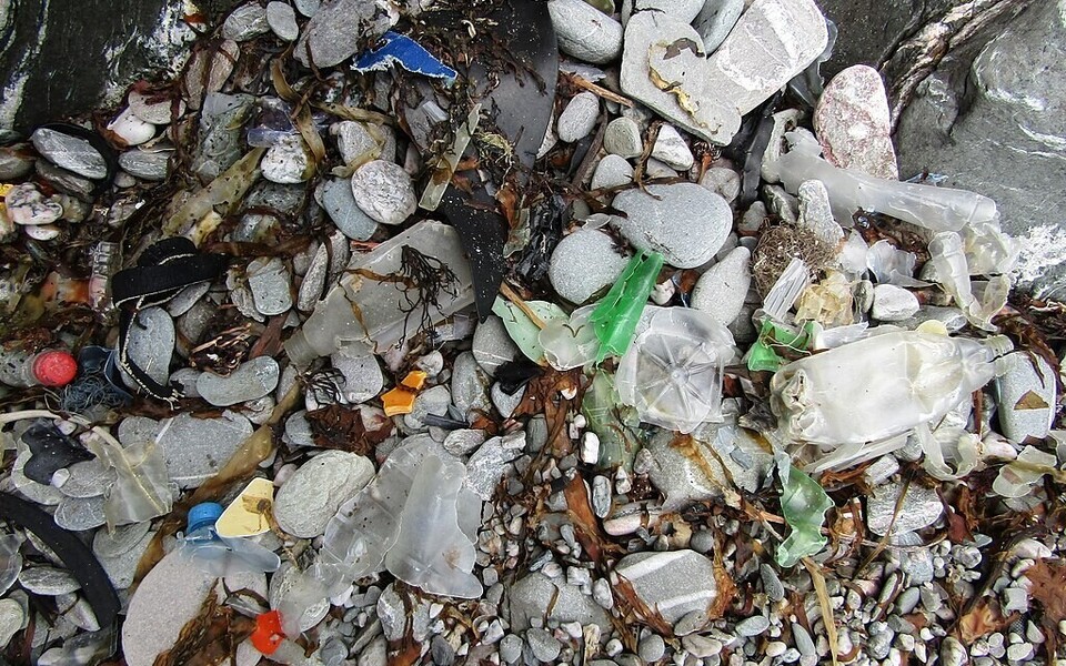Plastprügi mererannas.