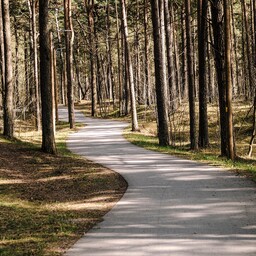Ratastooliga saab täies ulatuses liikuda kahel RMK loodusrajal