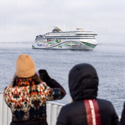 Tallink cancels MyStar trips on Monday due to a malfunction
