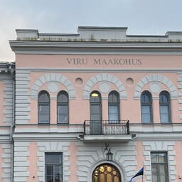 Kohus mõistis Baltnewsile sisu tootnud mehe süüdi sanktsiooni rikkumises