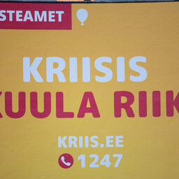Vabaühendused soovivad riigilt kriisides suuremat ja selgemat rolli