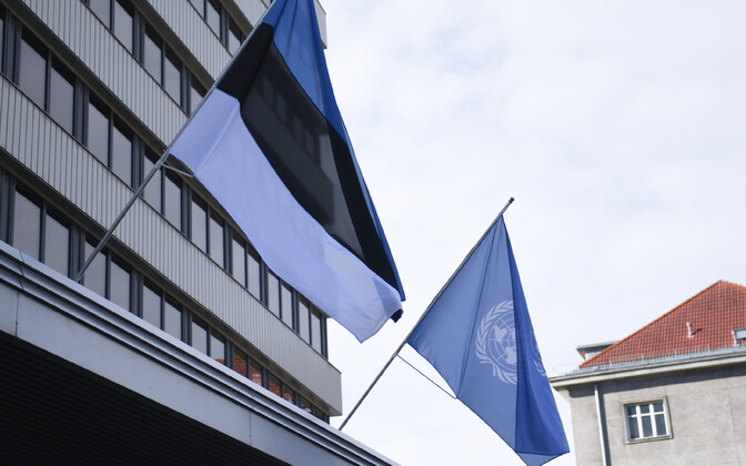 Foreign minister announces interim secretary general