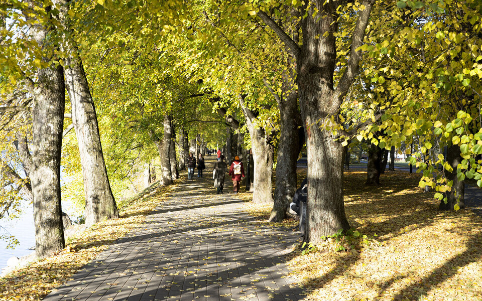 Осень.