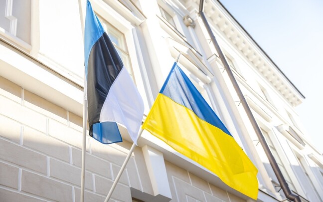 Флаги Эстонии и Украины на Доме Стенбока.