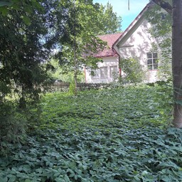 Paides püstitatakse rohtukasvanud kohtumaja kinnistule Vabadussõja monument