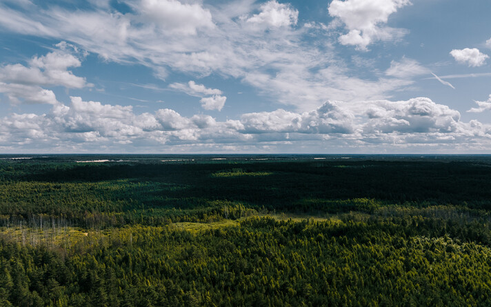Иллюстративная фотография.
