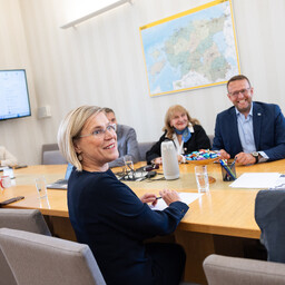 Delfi uuring: augusti algul soovis Madiset presidendiks ligi kolmandik