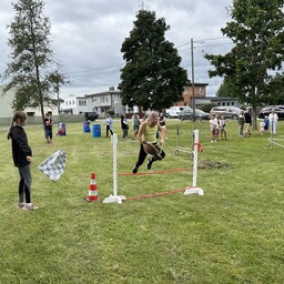 Rakveres ratsutati taasiseseisvumispäeval kepphobustega