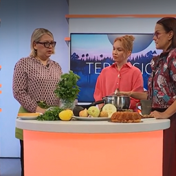 Suvikõrvitsast saab suppi, salatit, pirukat, aga ka keeksi