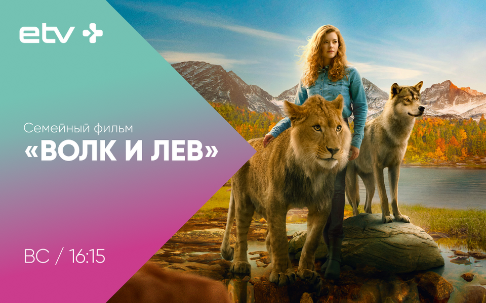баннеры