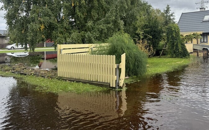 Pärnu rains flood insurance providers with claims