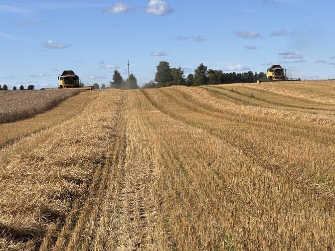 Estonian grain farmers have reason to be happy with the summer