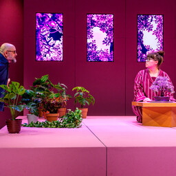 Galerii: Rakvere teatris esietendub Vootele Ruusmaa "Vöötrada"
