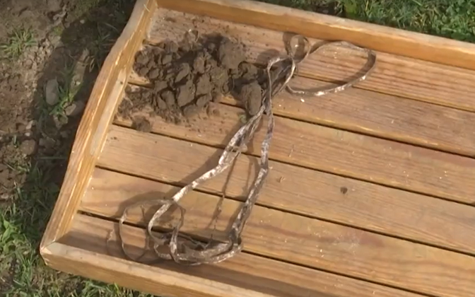 Soil health experiment shows Pärnu County soil is richly alive