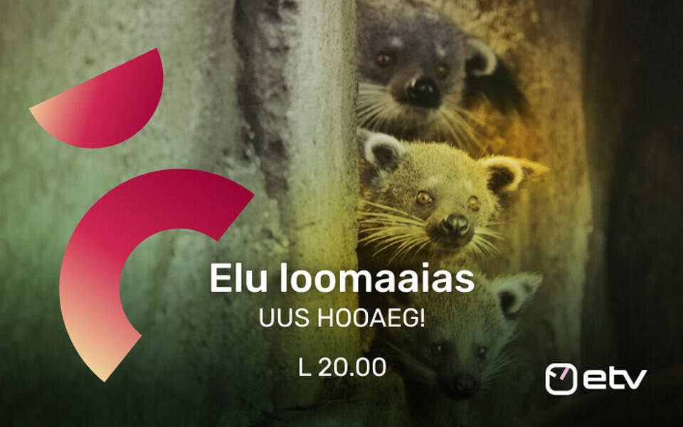 Elu loomaaias, b&auml;nner