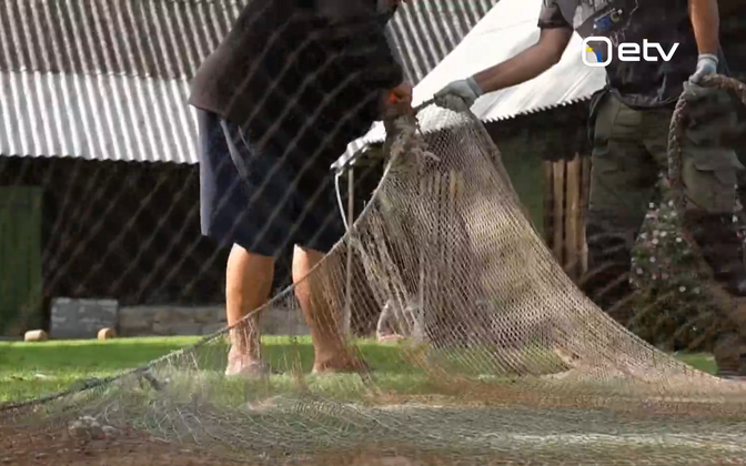 Old Estonian fishing nets are helping protect Ukraine from drones