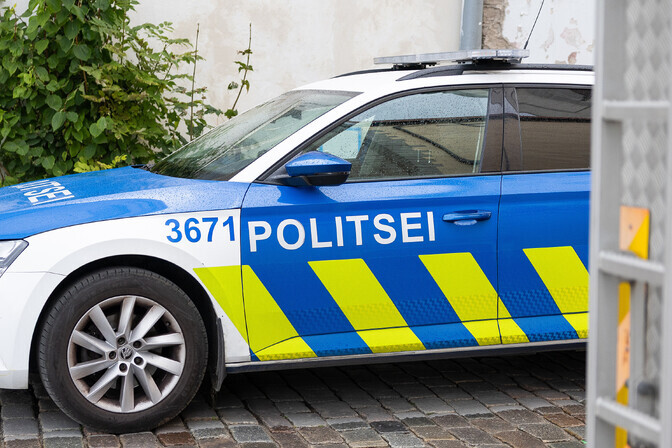Police detain 10 illegal immigrants in Tallinn's Nõmme district