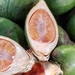 Meelemürkide tarvitamine algas varem kui seni arvatud
