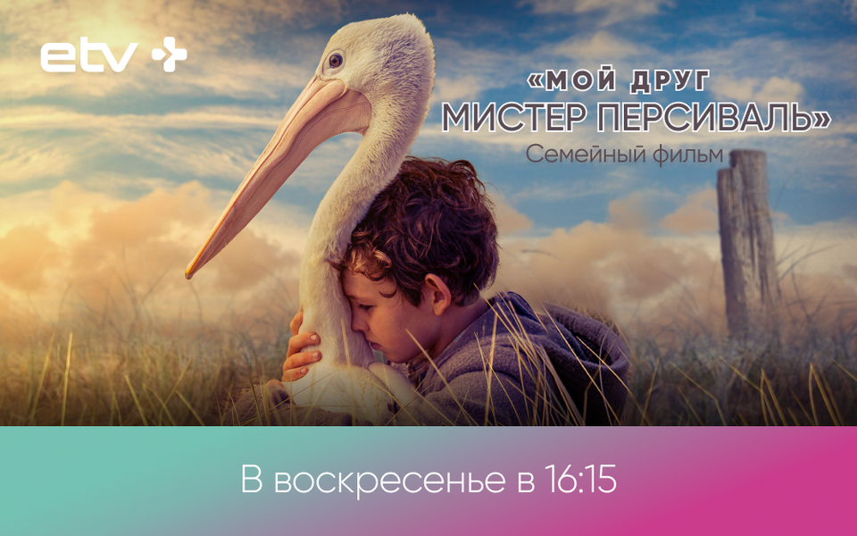 баннеры.
