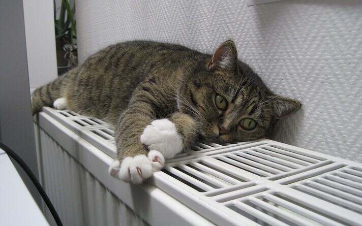 In one country, a room temperature of 21 degrees Celsius may be considered perfectly adequate, while in another, 25 degrees may be considered comfortable.