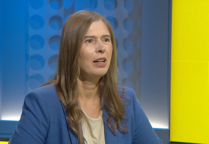 Former Estonian president: Not enough air defense in the world to meet Ukraine's needs
