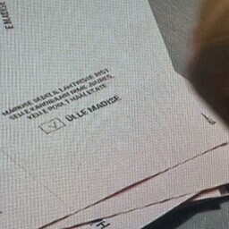 Kaebused presidendivalimistega: keda häiris kaablivits, keda "linnuke", keda lapsega hääletamine