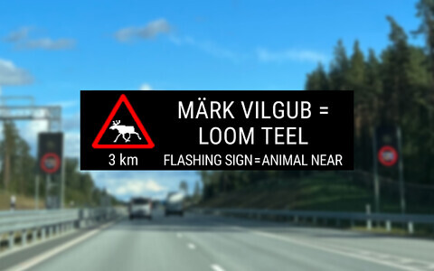 Illuminated road sign warning of wildlife hazards.