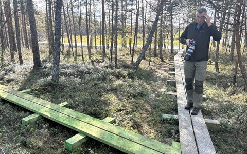 Selisoo matkarada, RMK looduskaitsespetsialist Ants Anim&auml;gi.