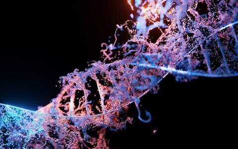 Uus karkassiga DNA-arvuti (SDC) ei vaja eraldi veaparandussüsteeme.