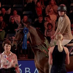 Horse Show algas Läti ratsaniku võiduga, parim eestlane oli Kaleta