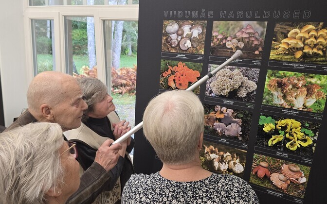 Vello Liiv's new wild mushroom photo exhibition at Viidumäe Nature Center in Saaremaa. October 2026.
