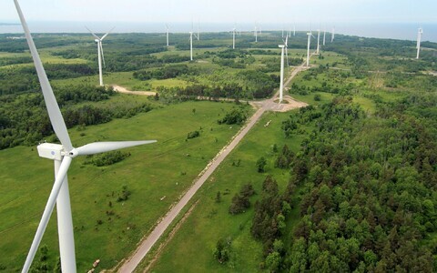 Wind turbines in Estonia. Energy output rose 56.9% in August, driven by wind and solar.