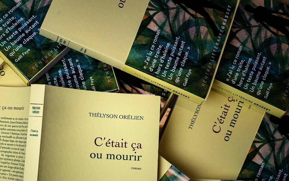 Thelyson Orelien teos  "C'etait ca ou mourir" , mis kahtlustatakse olevat loodud tehisaru abil