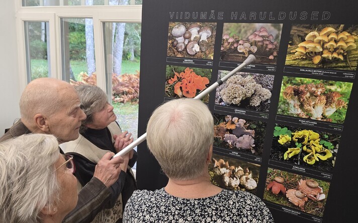 Vello Liiv's new wild mushroom photo exhibition at Viidumäe Nature Center in Saaremaa. October 2026.