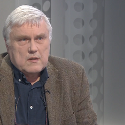 Streimann: AfD toetamine ei võrdu Putini toetamisega