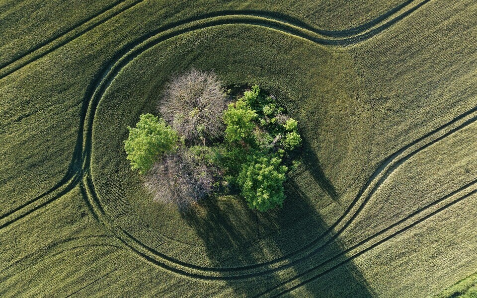 Колок.