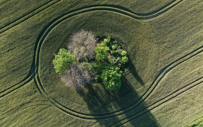 Колок.