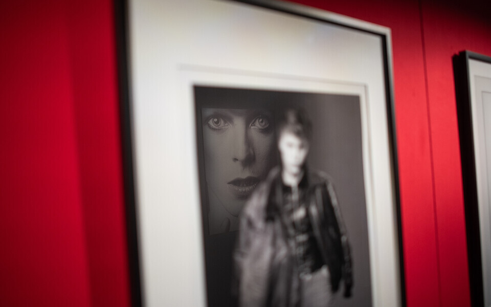Bowie x Sukita x PoCo foton&auml;itus