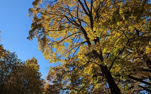 Осень.