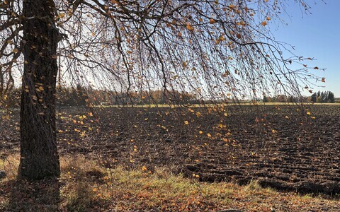 P&otilde;ld.